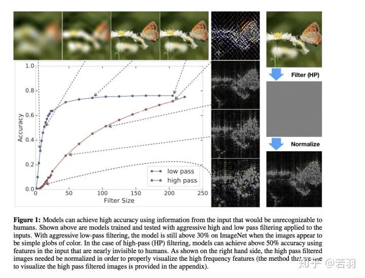 Understanding CNNs from the Frequency Domain Perspective