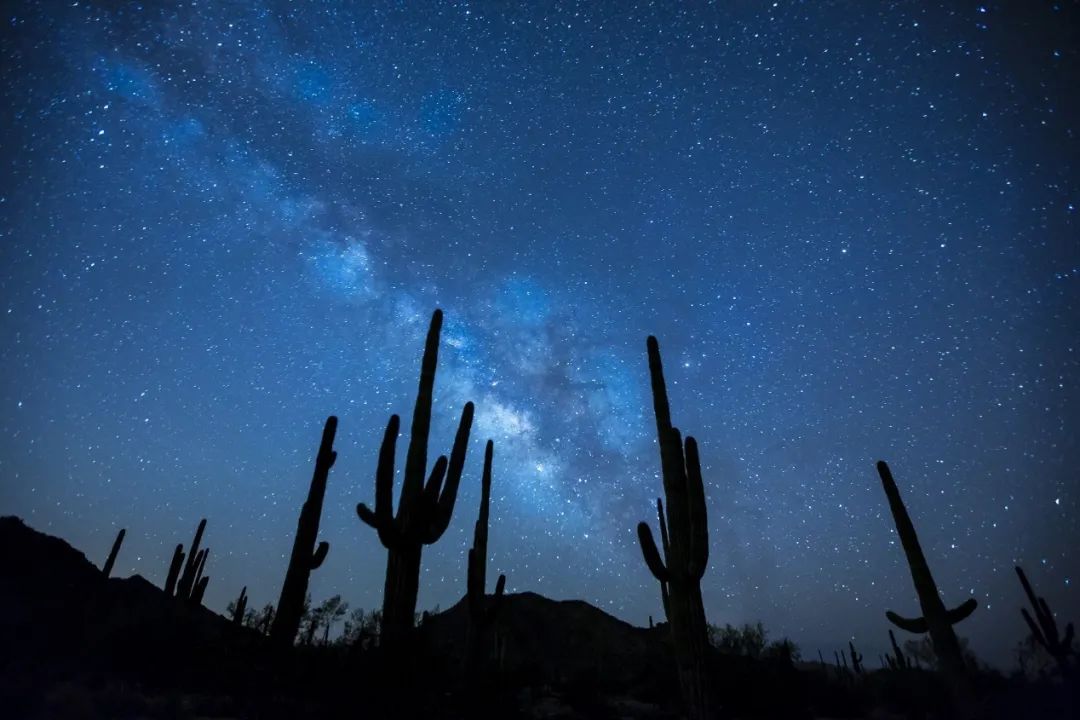 Cactus Image Classification Based on Convolutional Neural Networks (CNN)