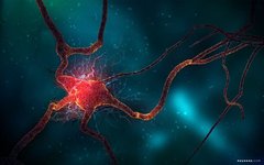 Understanding How Neural Networks Work