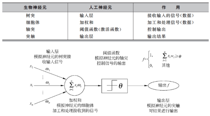 Essential Algorithms in Machine Learning
