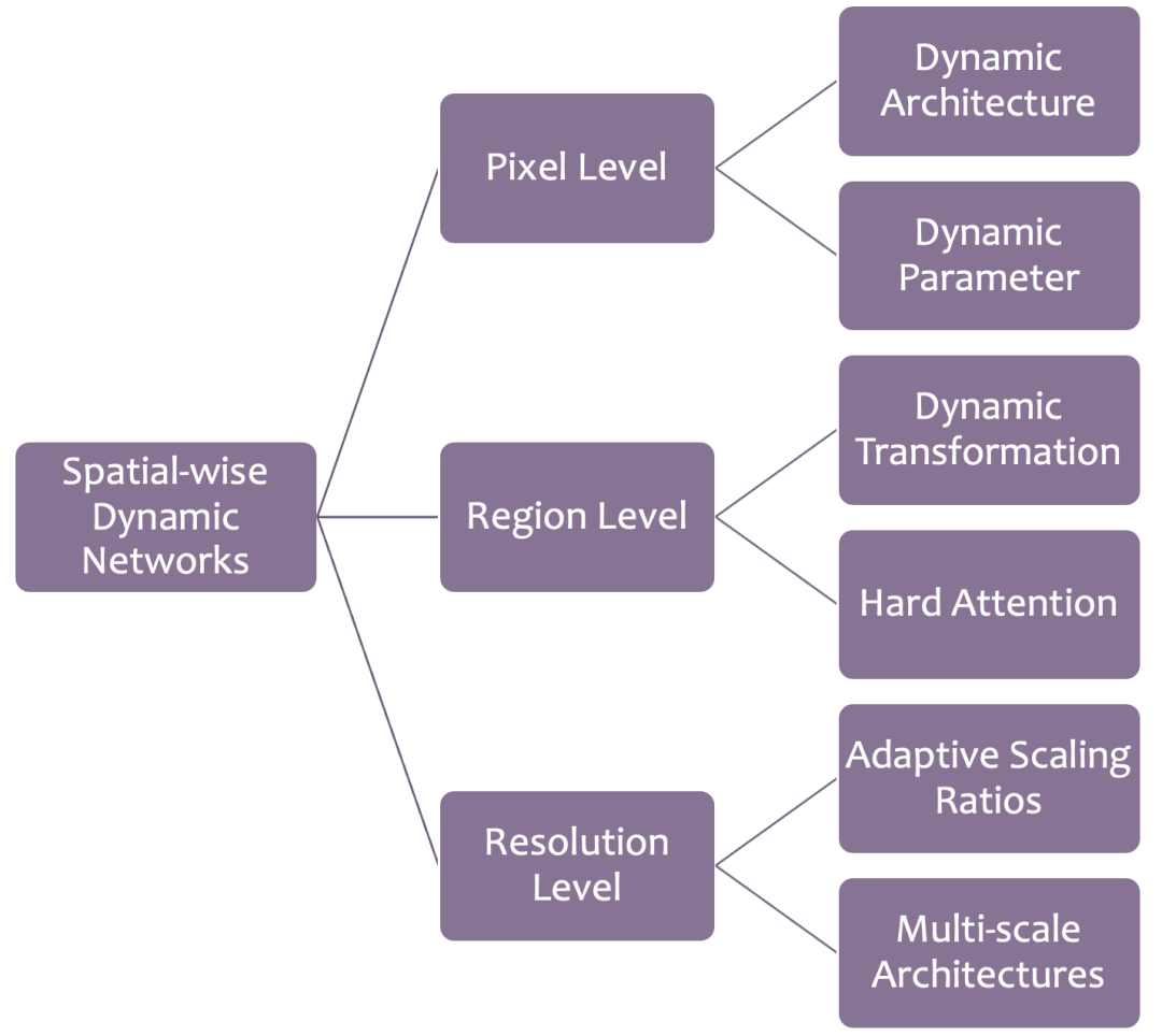 Dynamic Neural Networks: Key Challenges and Solutions