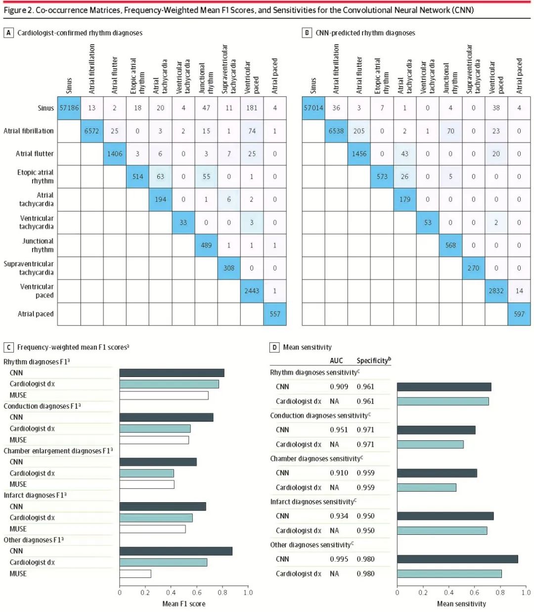 Can Deep Learning Neural Networks Accurately Interpret ECGs?