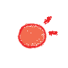Multimodal Data Integration Enhances Immunotherapy Response Prediction