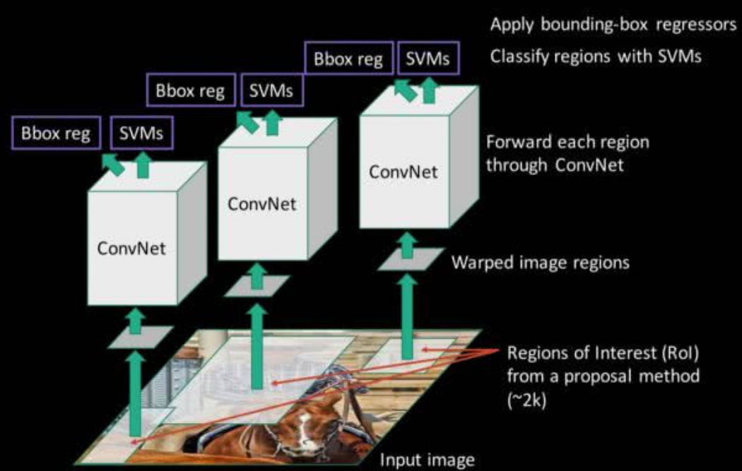 Introduction to Object Detection in Image Processing