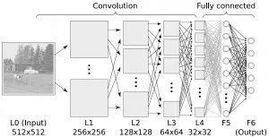 17 Common Algorithms in Machine Learning