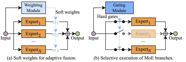 Dynamic Neural Networks: Key Challenges and Solutions