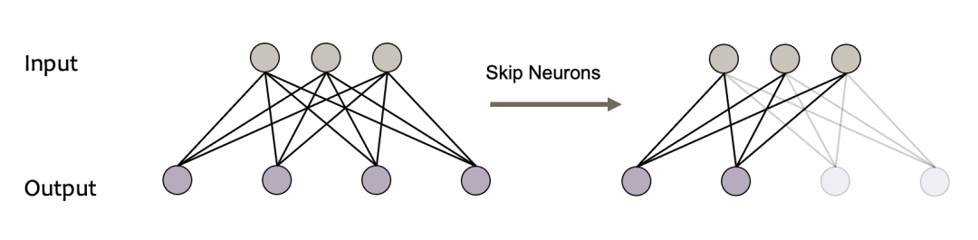 Dynamic Neural Networks: Key Challenges and Solutions