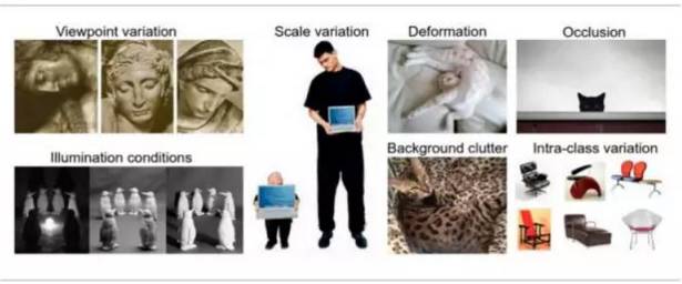 Image Classification Techniques: KNN, SVM, BP Neural Networks, CNN, and Transfer Learning