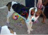 Trends and Techniques of Deep Learning in Image Processing