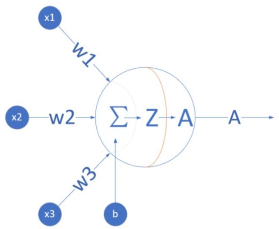 Understanding Neural Network Functionality Through Examples