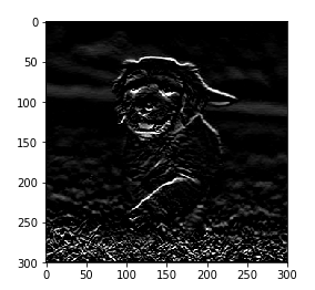 Understanding Convolutional Networks with PyTorch