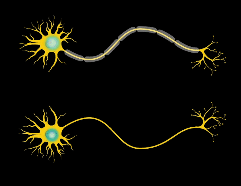 In-Depth Analysis of Artificial Neural Networks with Simple Examples