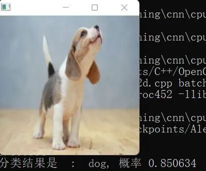 Implementing Convolutional Neural Networks in C++ from Scratch