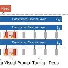 Overview of Prompt Learning and Tuning