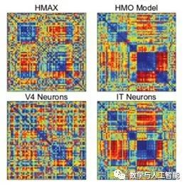 15 Questions About Convolutional Neural Networks and Biological Visual Systems