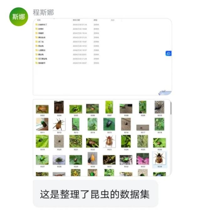 Insect Recognition System Based on CNN