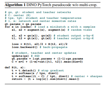 Building DINO Model and PyTorch from Scratch: Self-Supervised Vision Transformer