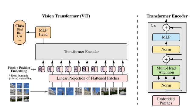 Understanding 10+ Visual Transformer Models