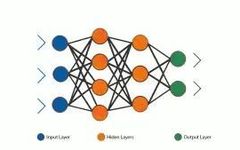 Artificial Neural Networks (ANN): Mathematical Models Mimicking Biological Networks