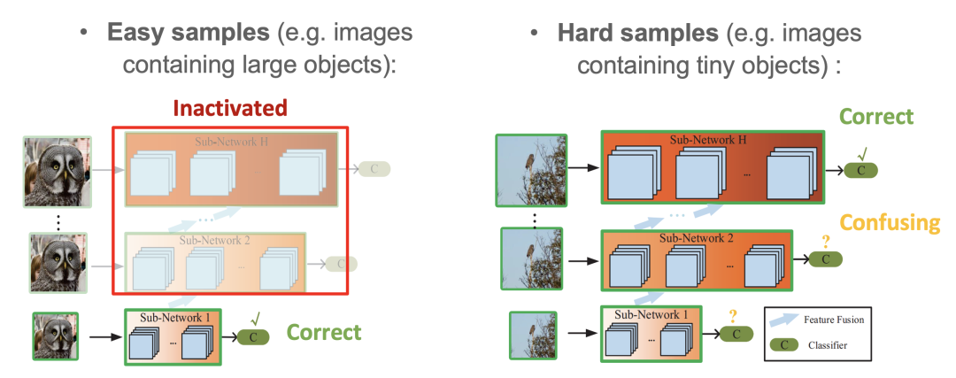 Dynamic Neural Networks: Key Challenges and Solutions