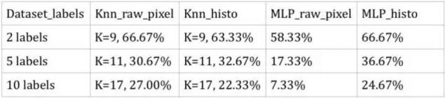 Image Classification Techniques: KNN, SVM, BP Neural Networks, CNN, and Transfer Learning
