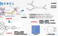 Third Generation Neural Network Models: Spiking Neural Networks for AI Applications