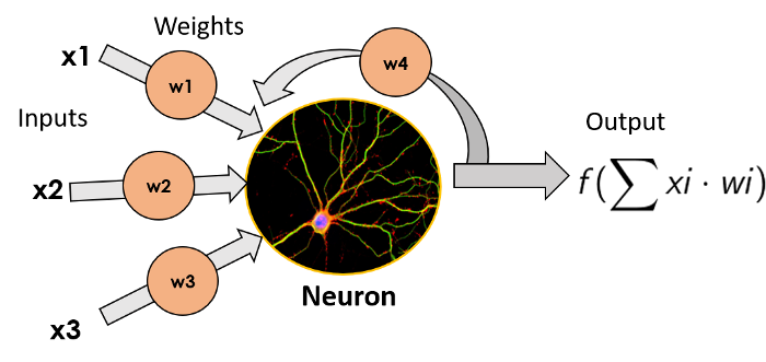 Deep Learning for NLP: ANNs, RNNs and LSTMs Explained!