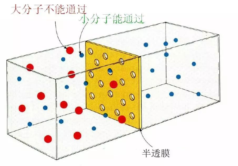 Understanding Diffusion in CRRT