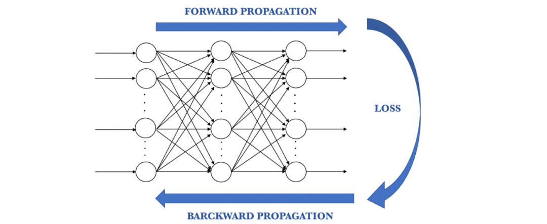 Understanding How Neural Networks Work