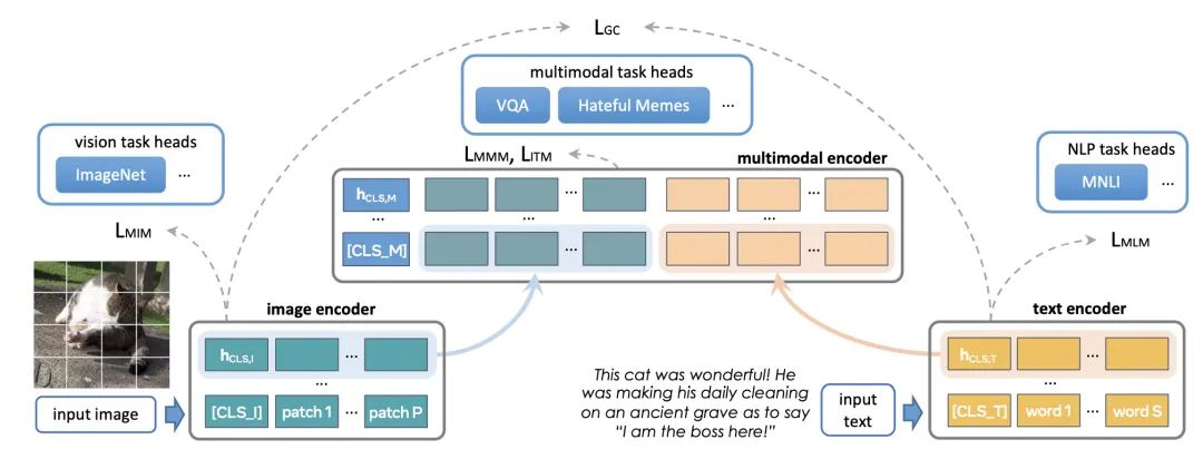 How to Use Multi-Type Data to Pre-Train Multimodal Models?