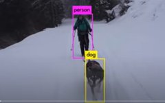 Introduction to Object Detection in Image Processing