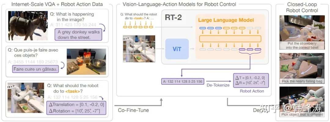 What Kind of Robotic Large Models Do We Need?