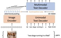How to Use Multi-Type Data to Pre-Train Multimodal Models?
