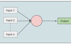 6 Types of Neural Networks Every Data Scientist Must Know