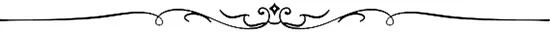 Neural Network Models in Mathematical Modeling