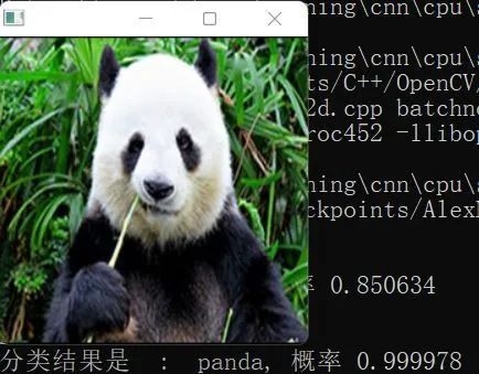 Implementing Convolutional Neural Networks in C++ from Scratch