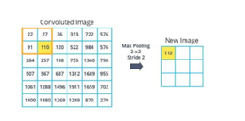 Comprehensive Introduction to Convolutional Neural Networks