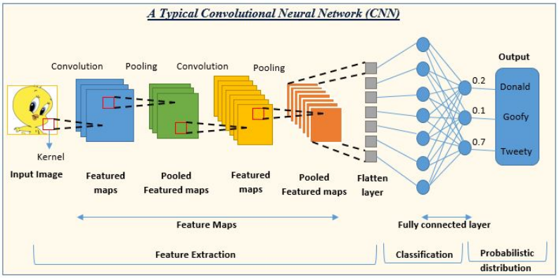 The Evolution of Artificial Neural Networks: 80 Years of Breakthroughs