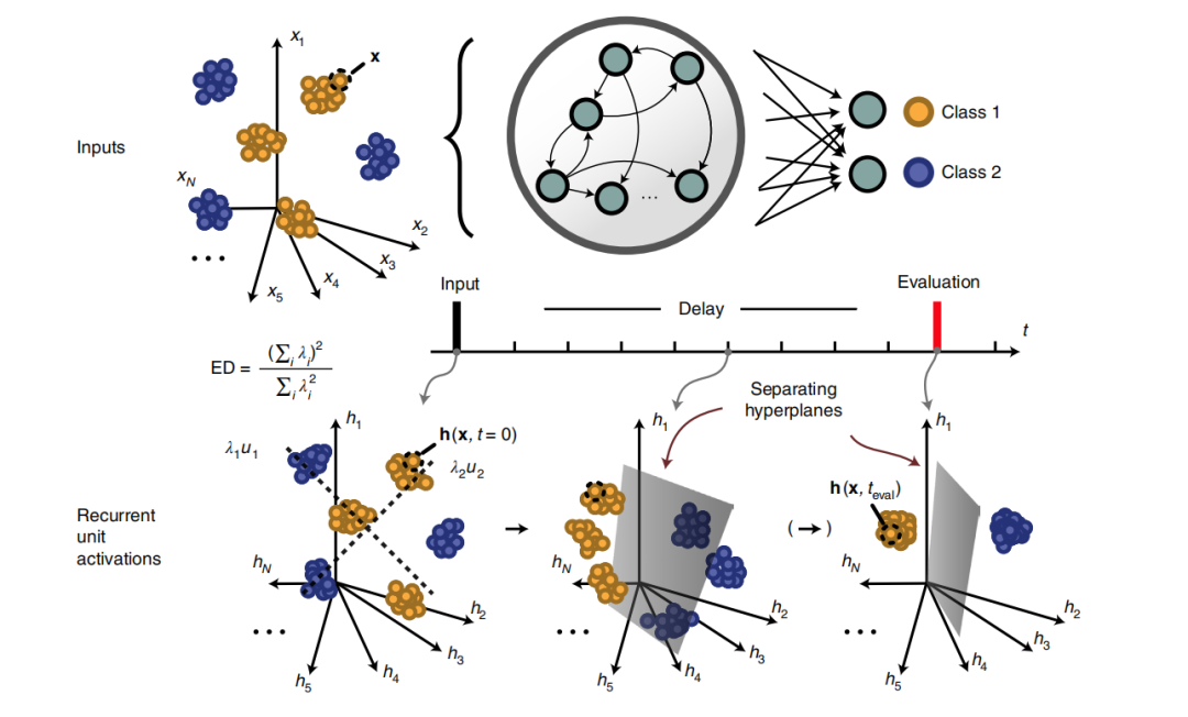 RNN Learns Suitable Hidden Dimensions with White Noise
