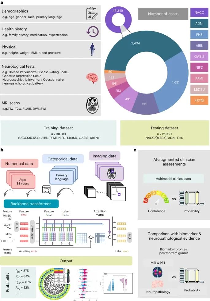 AI-Powered Precision Diagnosis of Dementia