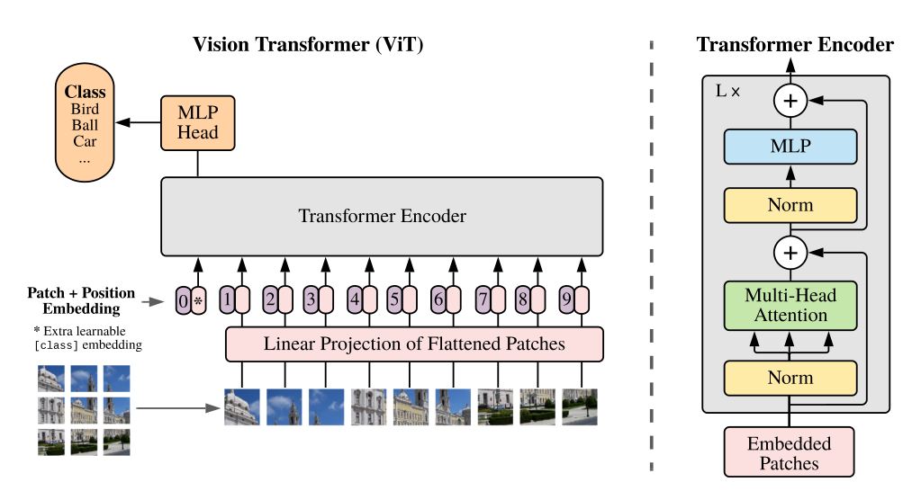 General Backbone Networks in Computer Vision
