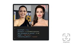Accelerating Face Recognition Technology Development: Open Source Libraries and Datasets