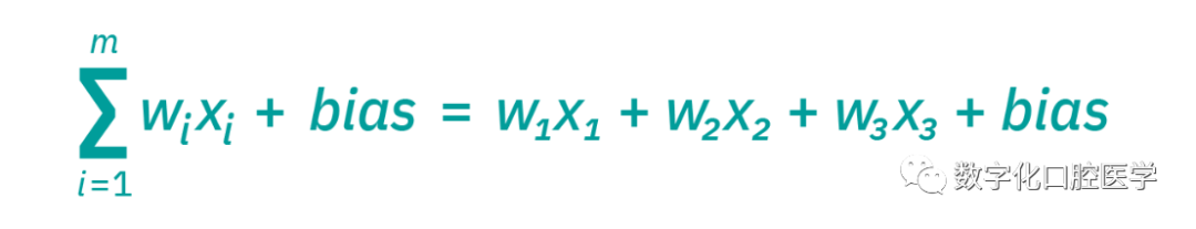 Understanding Neural Networks in Deep Learning