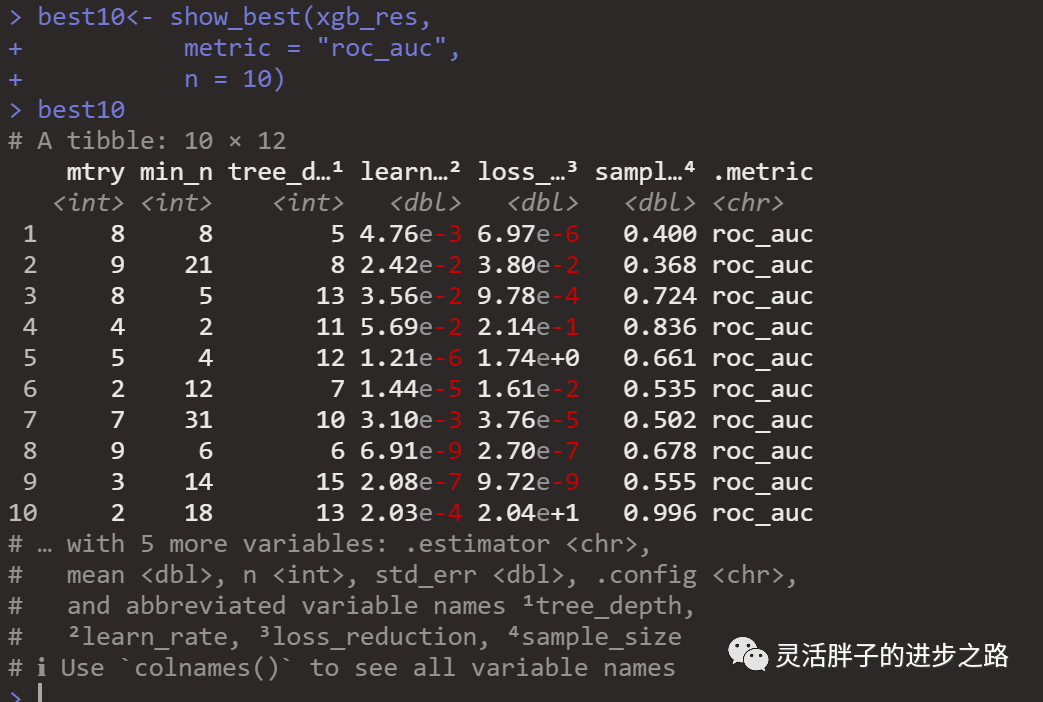 Building XGBoost Classification Model with Tidymodels