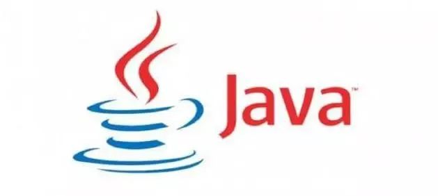 Top 5 Programming Languages for Image Recognition