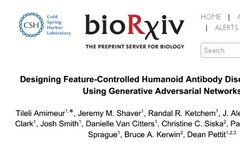 Designing Feature-Controlled Humanoid Antibody Libraries Using GANs