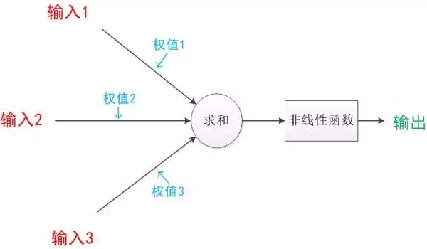 An Overview of Neural Networks: From Neurons to Deep Learning