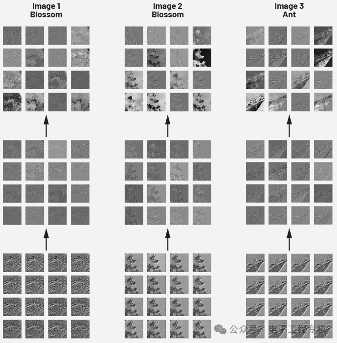 Artificial Intelligence and Convolutional Neural Networks