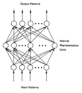 Strong Recommendation | Overview of Convolutional Neural Networks: From Basic Techniques to Research Prospects
