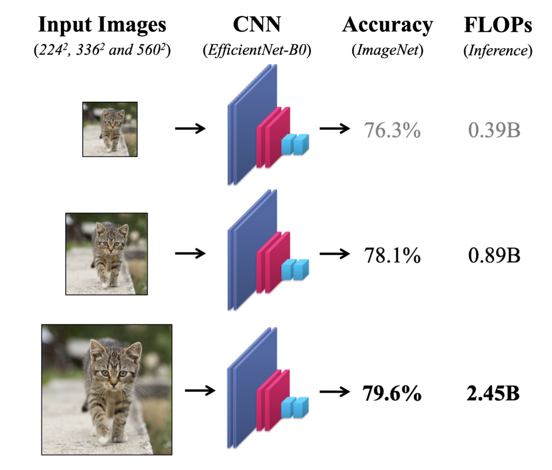 Dynamic Neural Networks: Key Challenges and Solutions